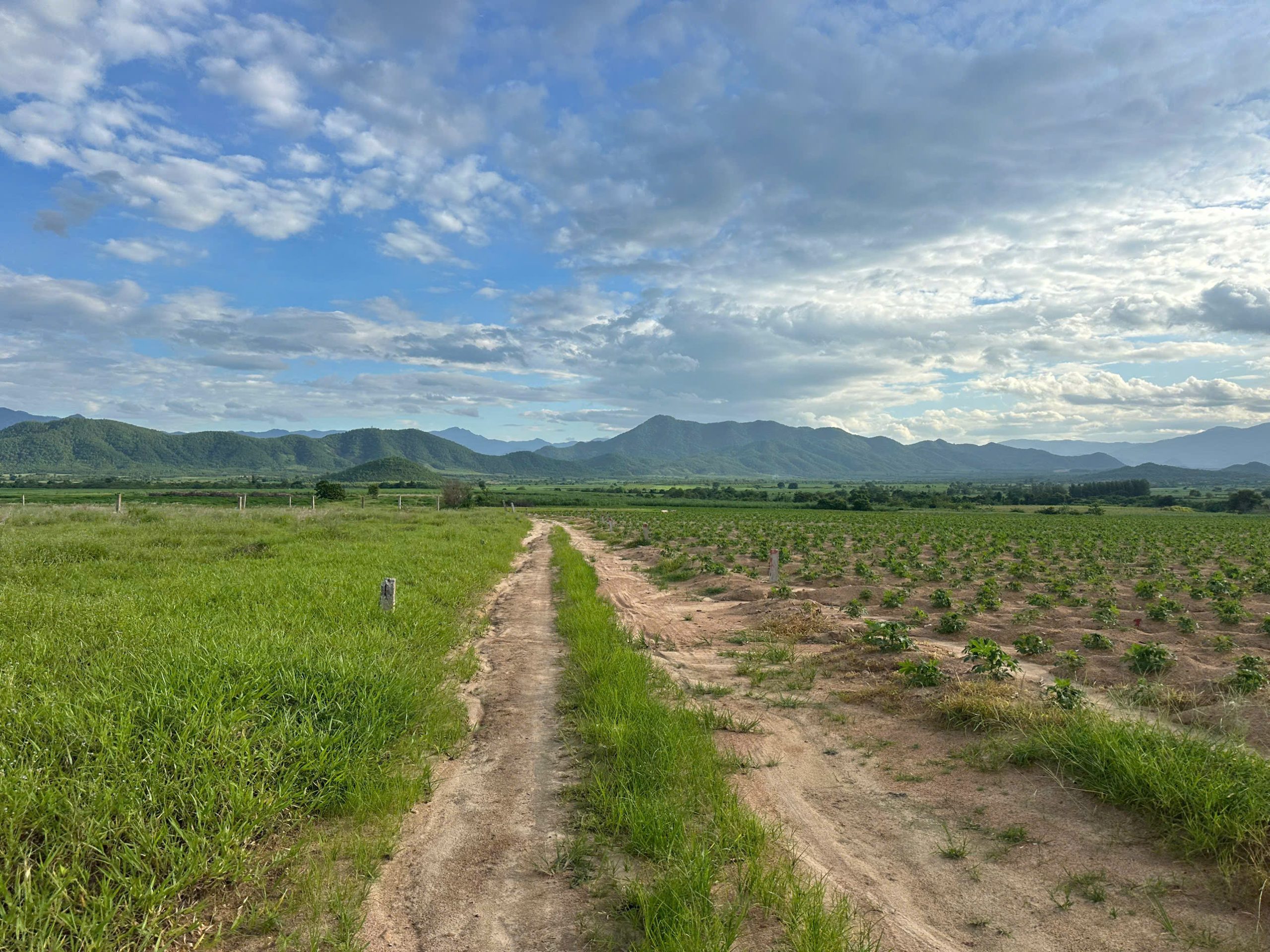 Bán đất vườn giá tốt – Quảng Sơn, Ninh Sơn, Khánh Hòa